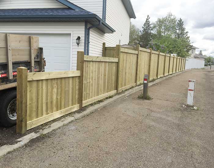 Fence-Picture